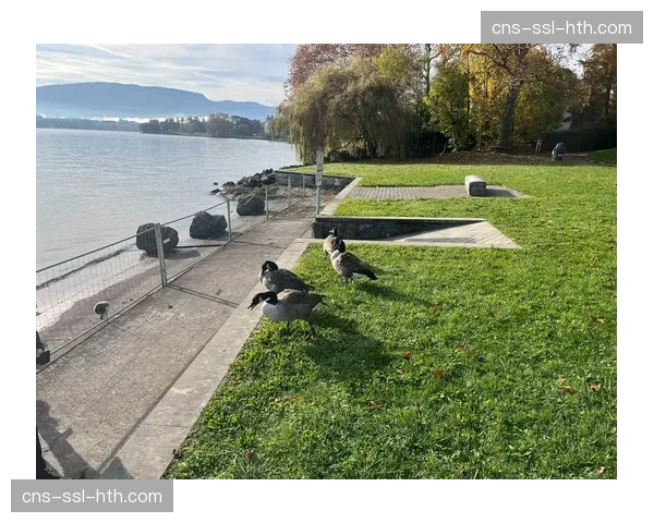 瑞士国家联赛总决赛，苏黎世SC加时金球击败日内瓦Servette夺冠